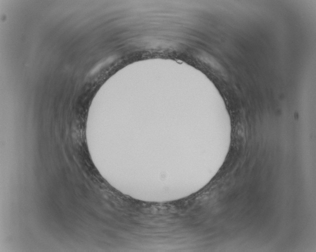 X0000062900869200602101804