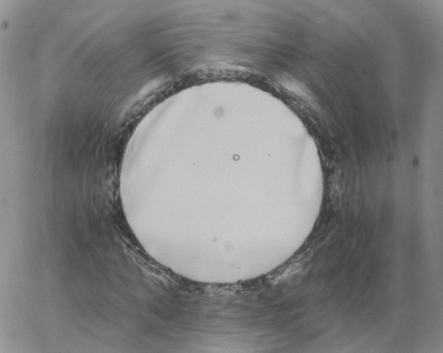 X0000062900870200602101804