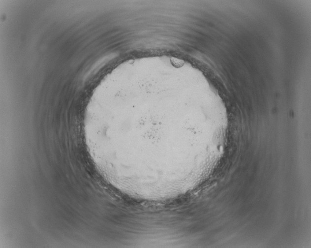 X0000062900871200602101804