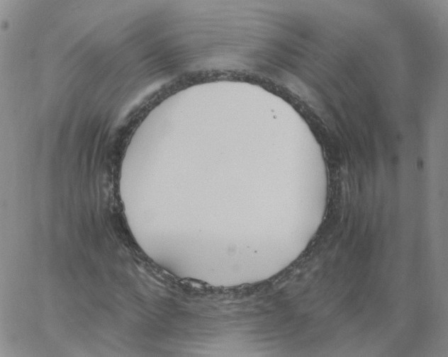 X0000062900872200602101804