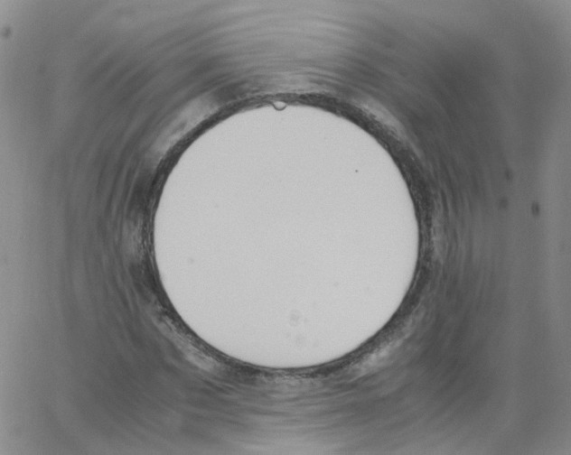 X0000062900873200602101804