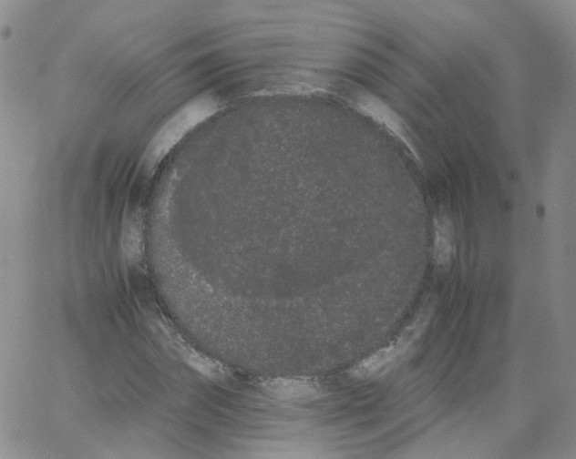 X0000062900874200602101804