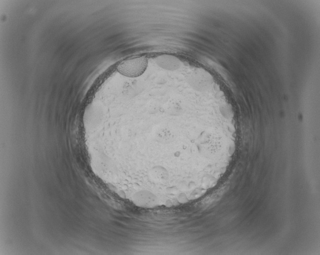 X0000062900875200602101804