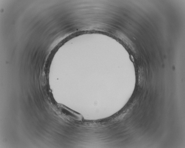 X0000062900876200602101804