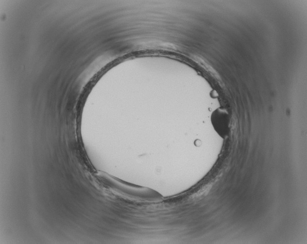 X0000062900877200602101804