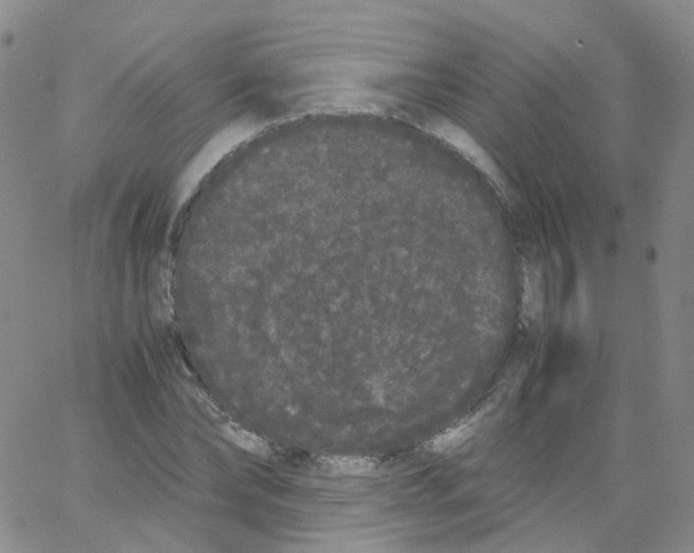 X0000062900878200602101804