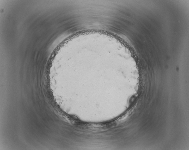 X0000062900879200602101804