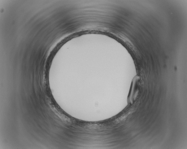 X0000062900880200602101804