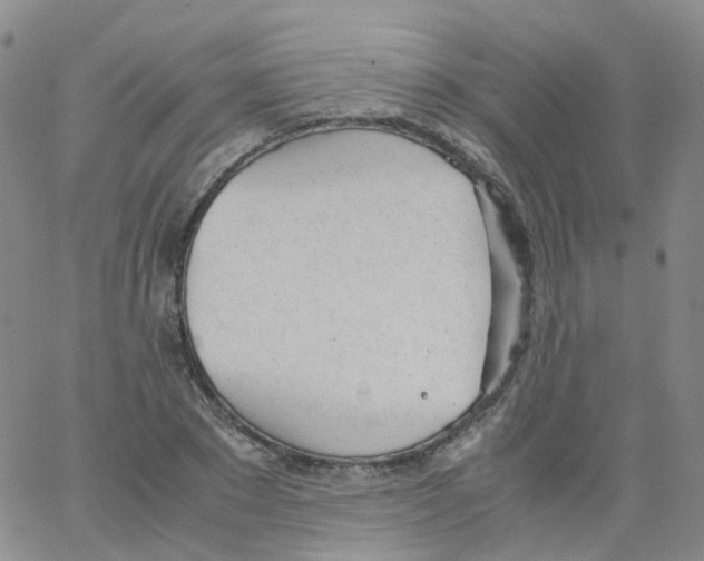 X0000062900881200602101804