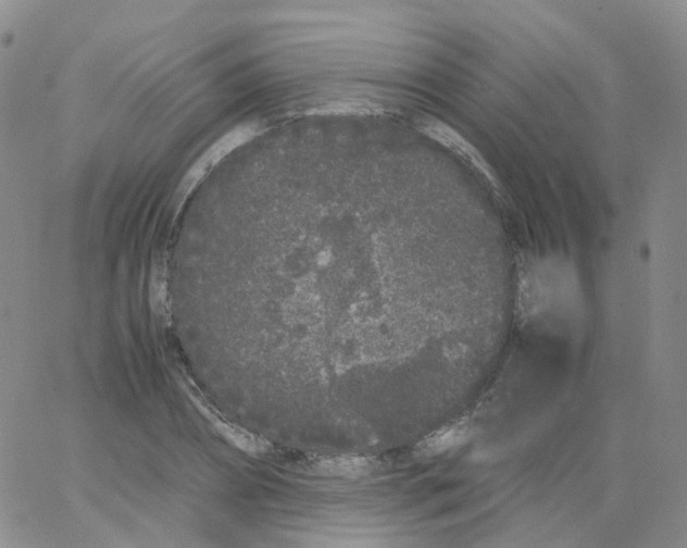 X0000062900882200602101804