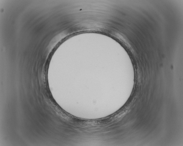 X0000062900883200602101804