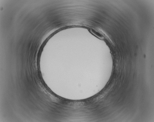 X0000062900884200602101804