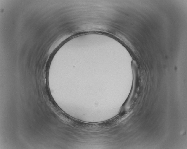 X0000062900885200602101804