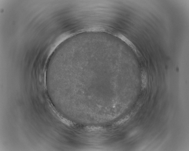 X0000062900886200602101804