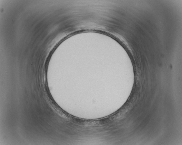 X0000062900887200602101804