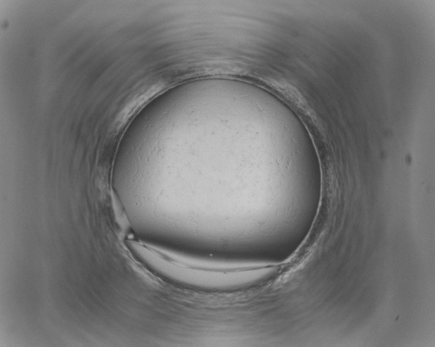 X0000062900889200602101804