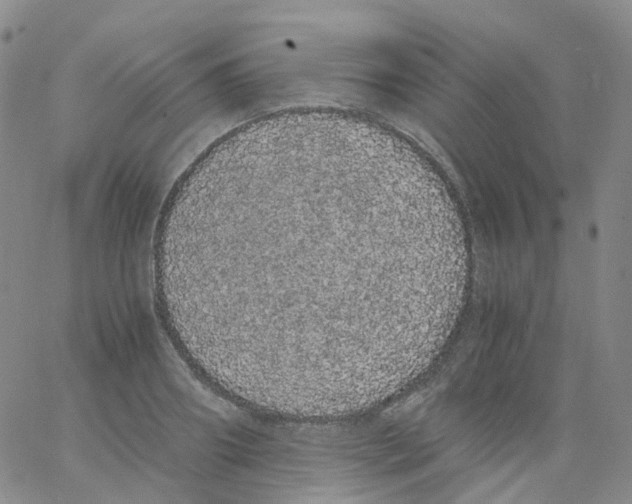 X0000062900890200602101804