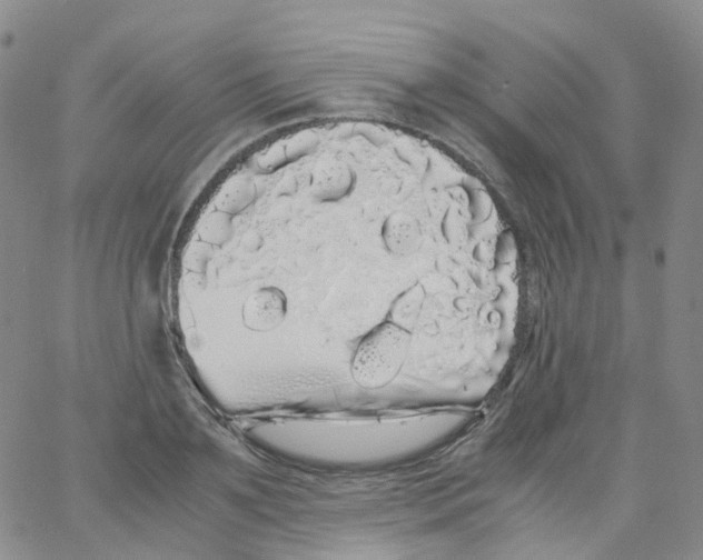 X0000062900891200602101804