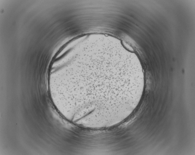 X0000062900892200602101804