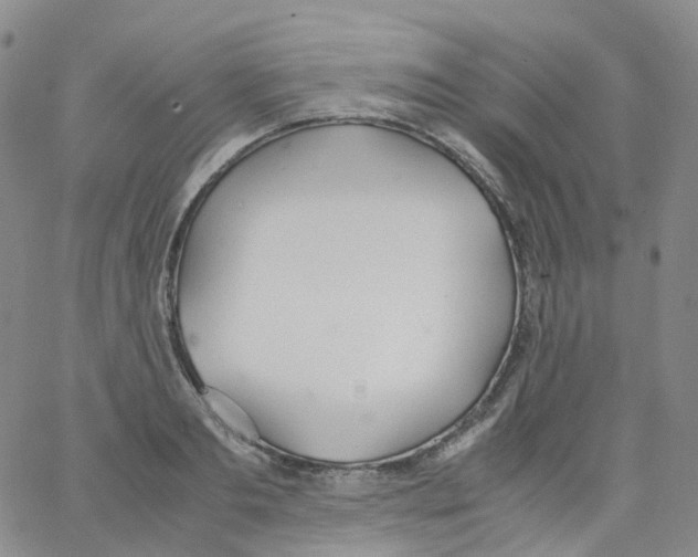 X0000062900893200602101804