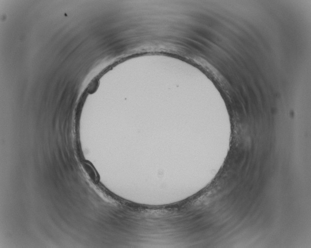 X0000062900894200602101804