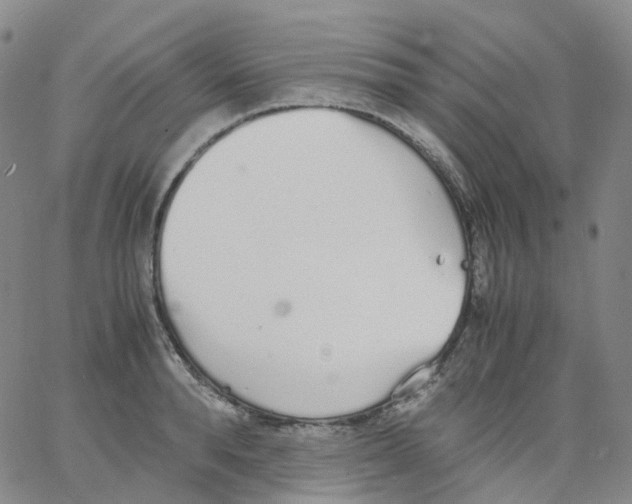 X0000062900896200602101804