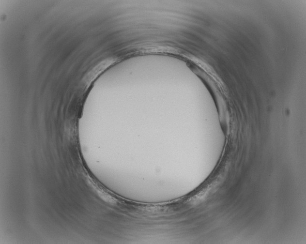 X0000062900897200602101804