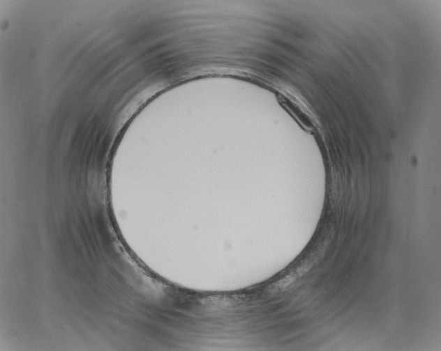 X0000062900898200602101804