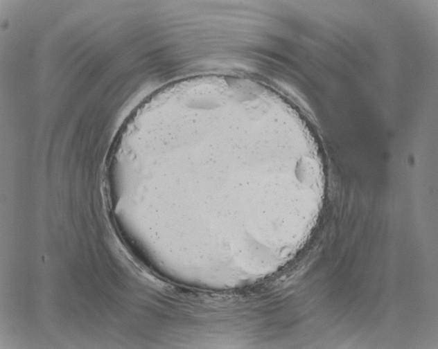 X0000062900899200602101804