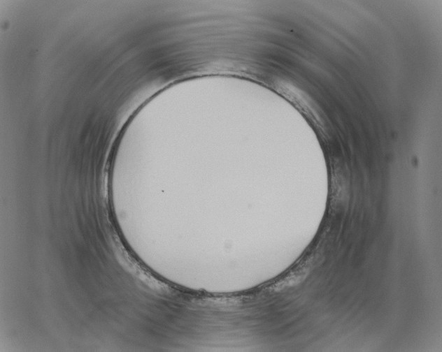 X0000062900900200602101804