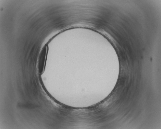 X0000062900902200602101804