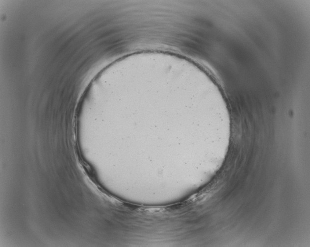 X0000062900903200602101804