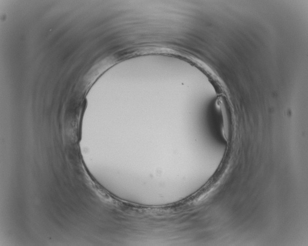 X0000062900905200602101803