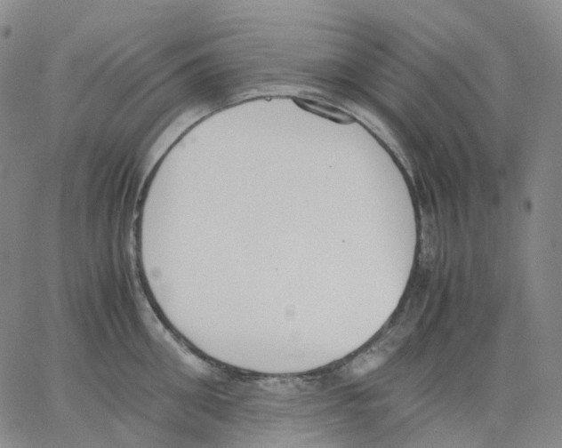 X0000062900906200602101803