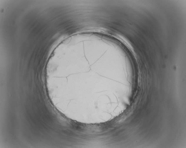 X0000062900907200602101803