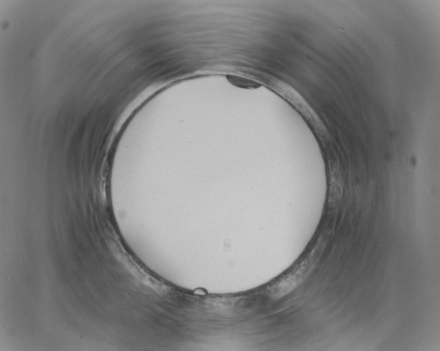 X0000062900908200602101803