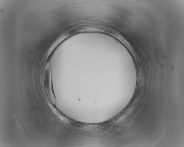 X0000062900909200602101803