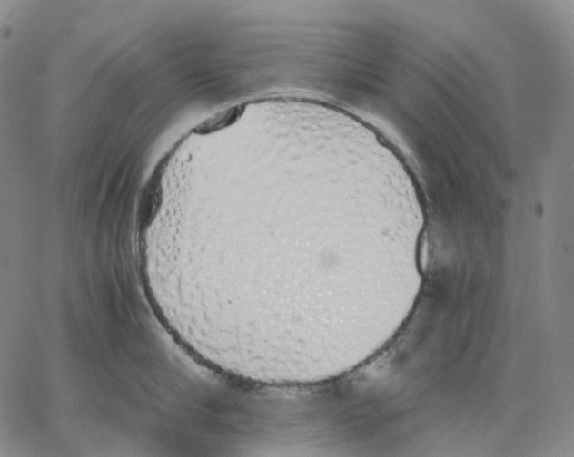 X0000062900910200602101803