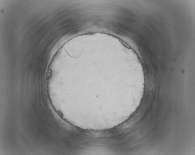 X0000062900911200602101803