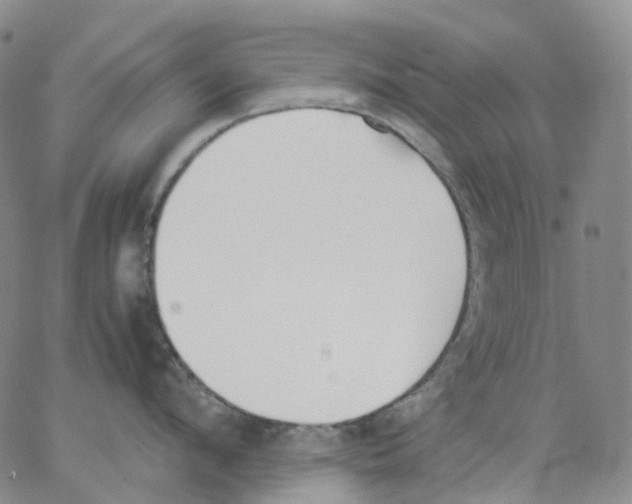 X0000062900912200602101803