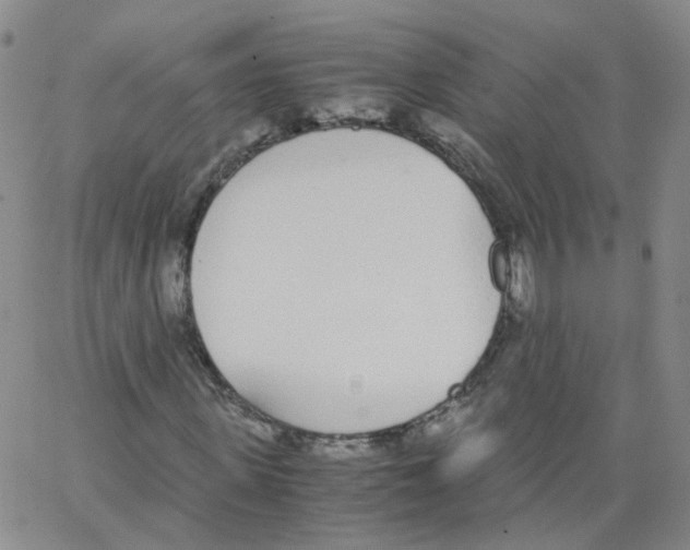 X0000062900915200602101803