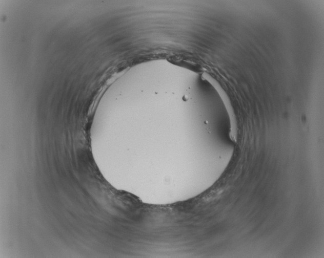 X0000062900916200602101803