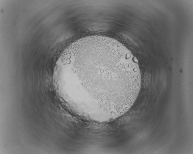 X0000062900917200602101803