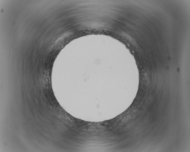 X0000062900918200602101803