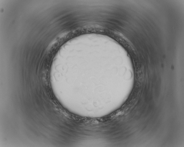 X0000062900919200602101803