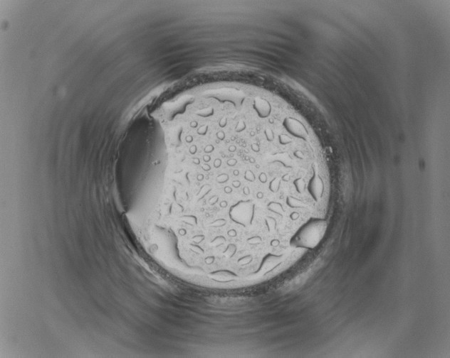 X0000062900921200602101803