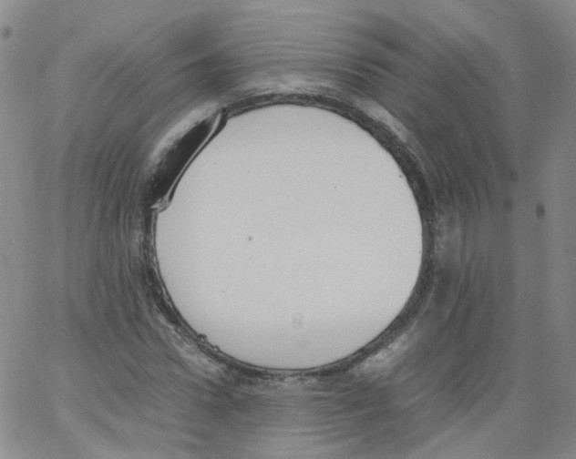 X0000062900922200602101803