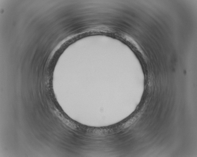 X0000062900923200602101803