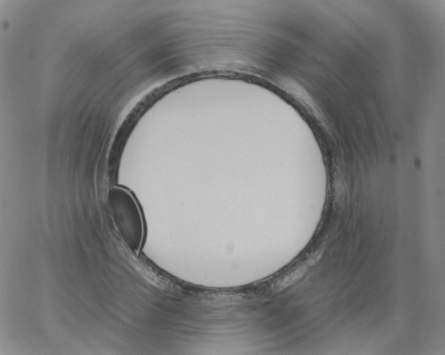 X0000062900924200602101803