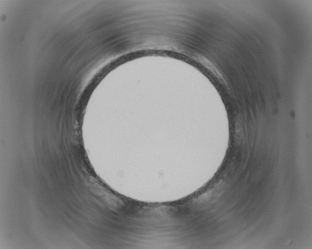 X0000062900926200602101803